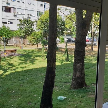 Yellow Apartment, Central פודגוריצה מראה חיצוני תמונה